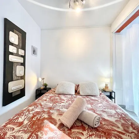 Apartment Charming T1 250 M From The